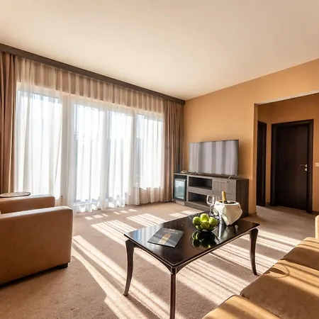 Hotel Dvoretsa