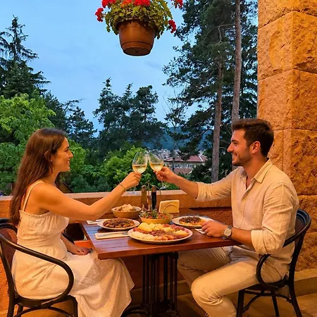Hotel Dvoretsa 5*